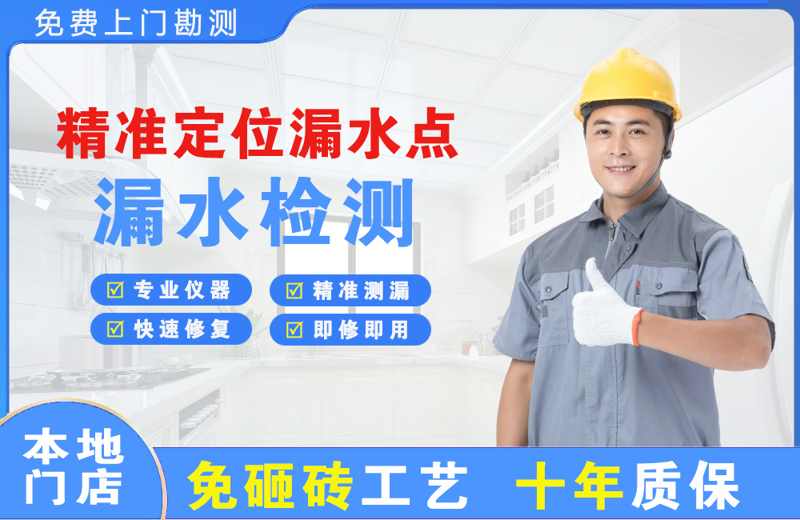 临川精准测漏点